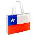 Bolsa Eco  Chile
