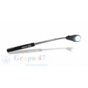 Linterna extensible
